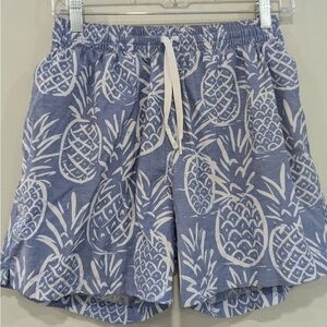 Chubbies White Pineapple Print Men's Athletic Shorts